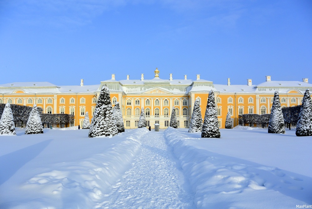 Галерея Большого Петергофского дворца