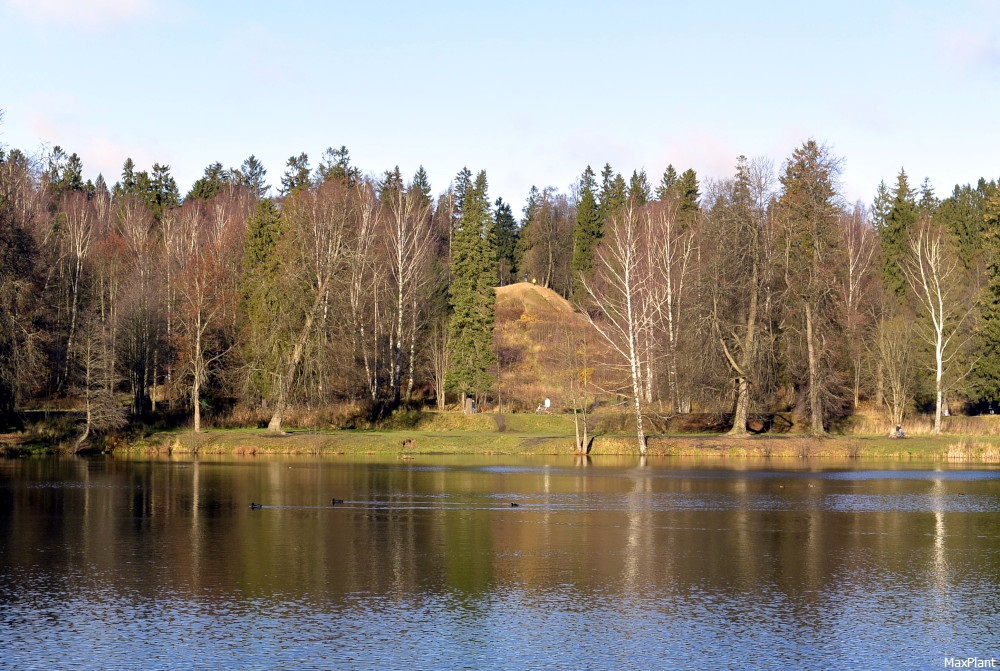 Финское озеро 5. Шуваловский парк гора Парнас. Гора Адольфа Шуваловский парк. Гора Адольфа Парголово финское озеро.